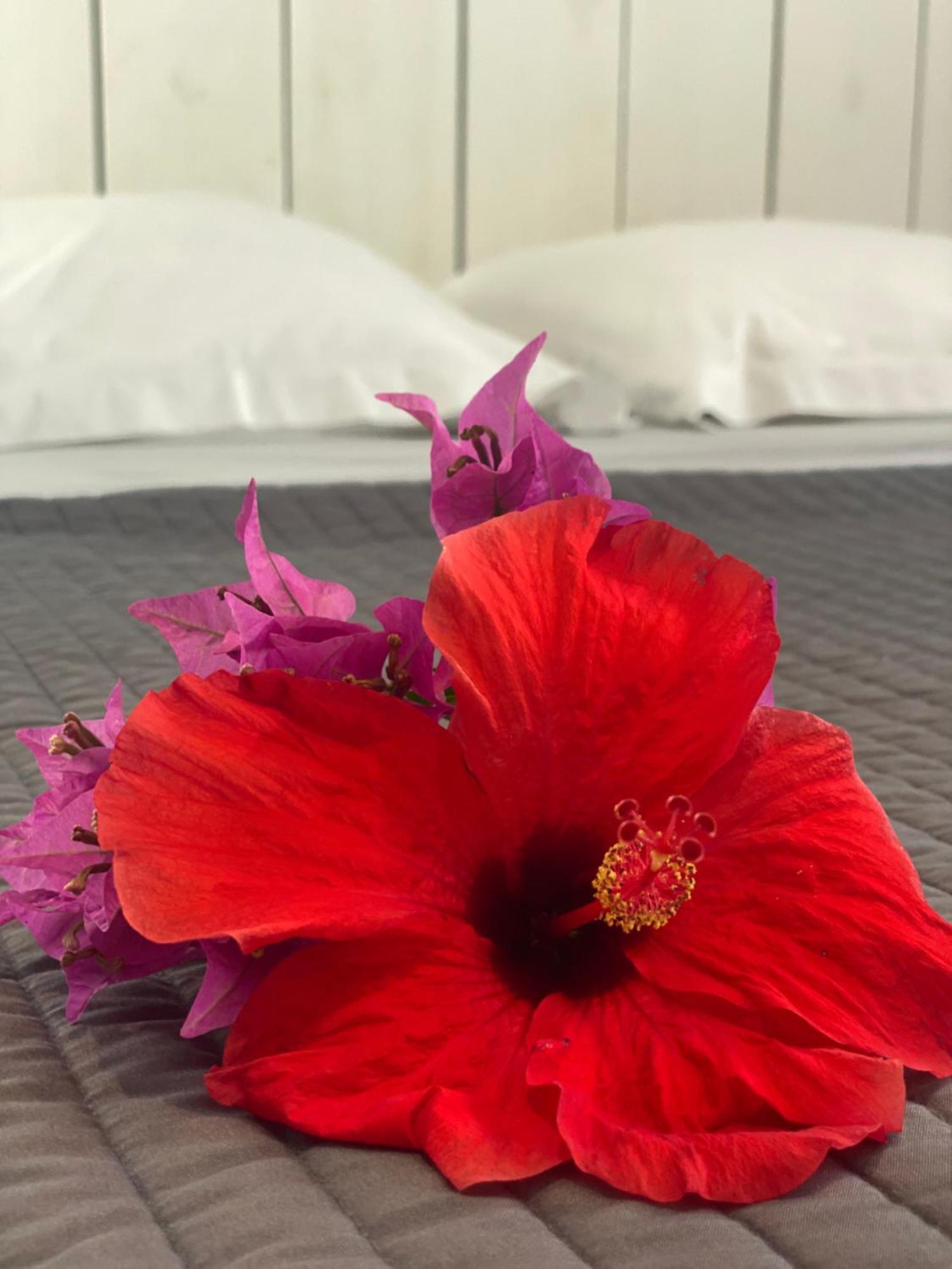La Maison Calebasse Hotel แซงต์-ฟรองซัวส์ ภายนอก รูปภาพ